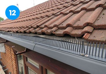 bird guard on top of felt trays