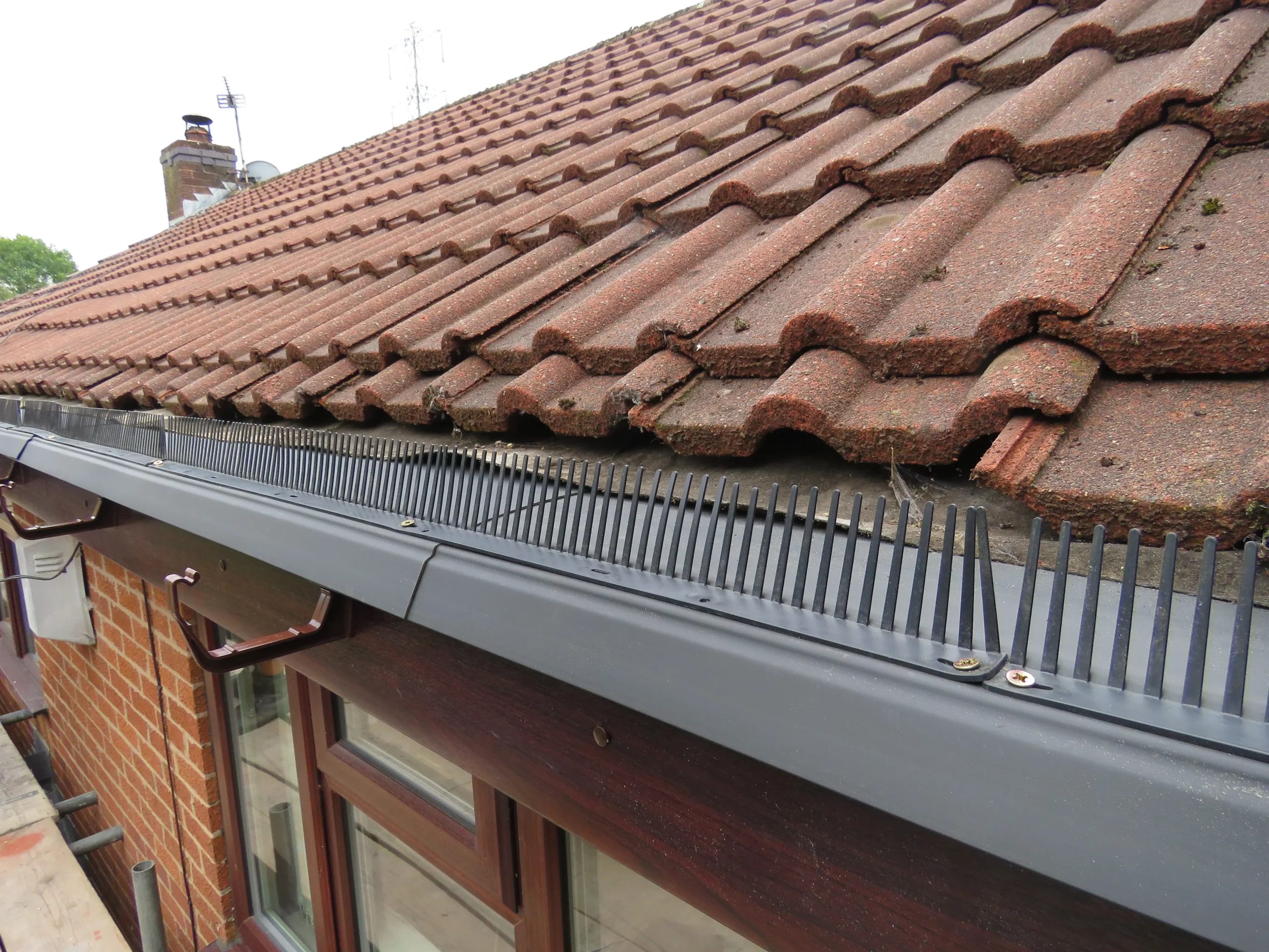 Roof with terracotta tiles and black gutter guard, viewed from an angle.
