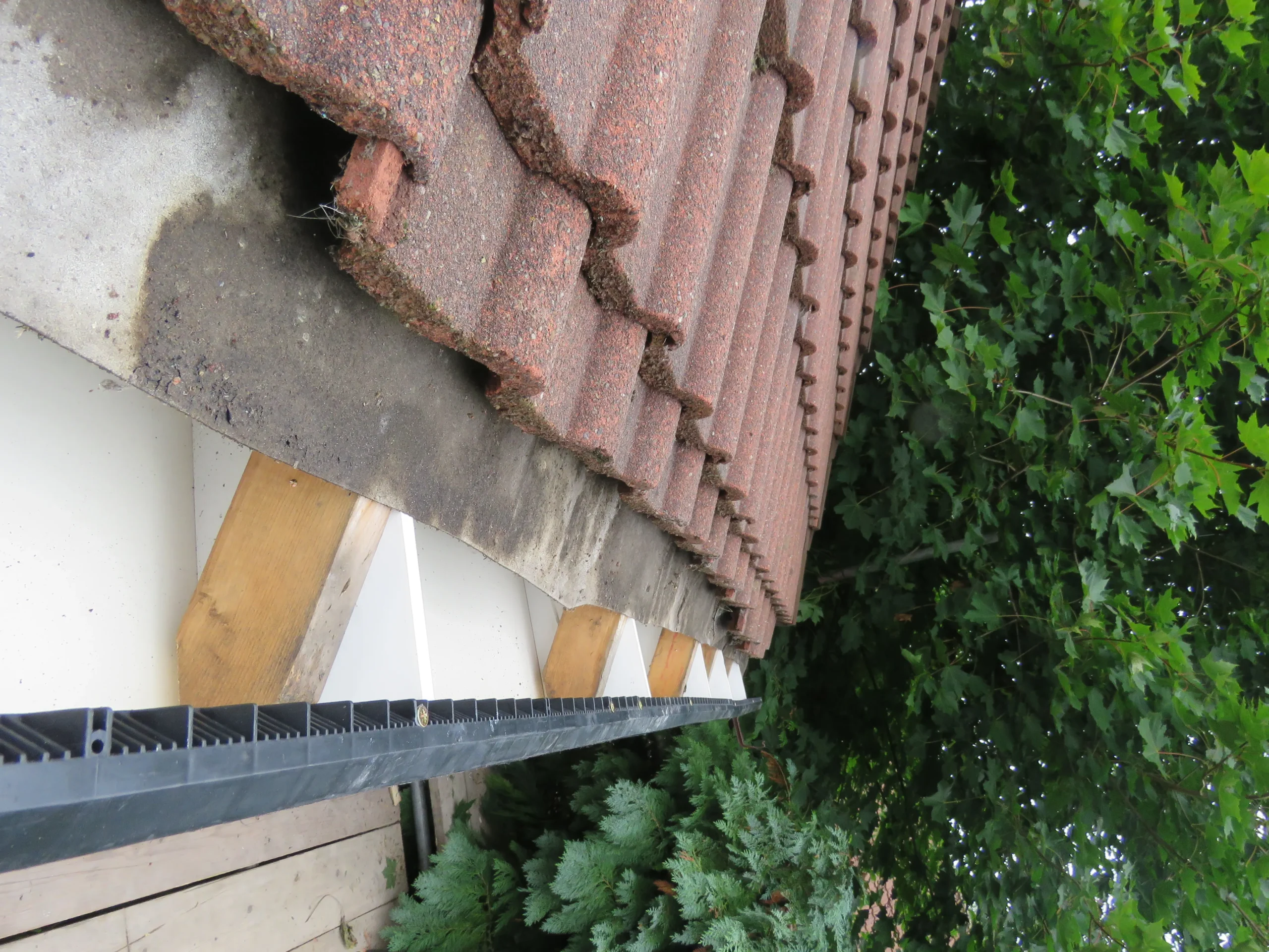 Roof tiles and wooden supports above white panels, with green foliage in the background.