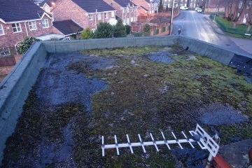 Rooftop covered with moss and debris, overlooking residential street and houses.